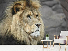 Load image into Gallery viewer, Photo Wallpaper Lion head XL