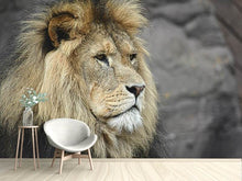 Load image into Gallery viewer, Photo Wallpaper Lion head XL