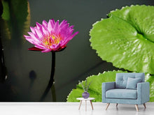 Load image into Gallery viewer, Photo Wallpaper Lotus flower in pink