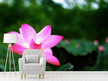 Load image into Gallery viewer, Photo Wallpaper Lotus in nature