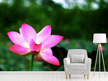 Load image into Gallery viewer, Photo Wallpaper Lotus in nature