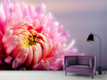 Load image into Gallery viewer, Photo Wallpaper Macro chrysanthemum
