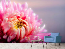 Load image into Gallery viewer, Photo Wallpaper Macro chrysanthemum
