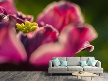 Load image into Gallery viewer, Photo Wallpaper Macro tulip in red