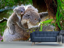 Load image into Gallery viewer, Photo Wallpaper Mom and baby koala