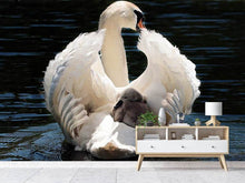 Load image into Gallery viewer, Photo Wallpaper Mom and baby swan