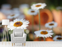 Load image into Gallery viewer, Photo Wallpaper Daisies XL