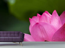 Load image into Gallery viewer, Photo Wallpaper Marko Lotus in pink