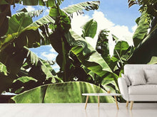 Load image into Gallery viewer, Photo Wallpaper In the middle of the jungle