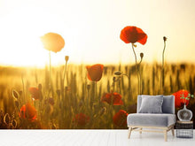 Load image into Gallery viewer, Photo Wallpaper Poppy in the sunset