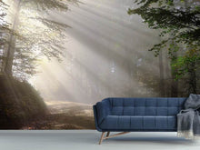 Load image into Gallery viewer, Photo Wallpaper Mystical light in the forest