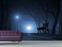 Load image into Gallery viewer, Photo Wallpaper At night in the park