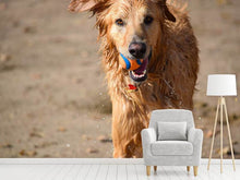 Load image into Gallery viewer, Photo Wallpaper Wet dog