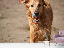 Load image into Gallery viewer, Photo Wallpaper Wet dog