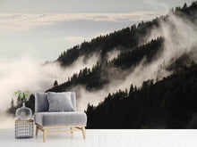 Load image into Gallery viewer, Photo Wallpaper Fog in the woods
