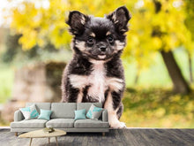 Load image into Gallery viewer, Photo Wallpaper Cute chihuahua puppy