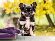 Load image into Gallery viewer, Photo Wallpaper Cute chihuahua puppy