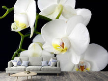 Load image into Gallery viewer, Photo Wallpaper Orchid close up
