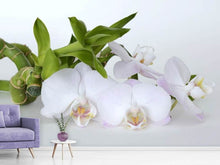 Load image into Gallery viewer, Photo Wallpaper Orchid and bamboo