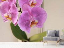 Load image into Gallery viewer, Photo Wallpaper Orchids with purple flowers in XL