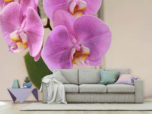 Load image into Gallery viewer, Photo Wallpaper Orchids with purple flowers in XL