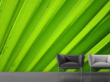 Load image into Gallery viewer, Photo Wallpaper Palm stripes 2