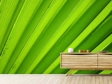Load image into Gallery viewer, Photo Wallpaper Palm stripes 2