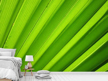 Load image into Gallery viewer, Photo Wallpaper Palm stripes 2