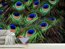 Load image into Gallery viewer, Photo Wallpaper Peacock feathers XXL