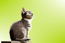 Load image into Gallery viewer, Photo Wallpaper Pop Art Cat XL