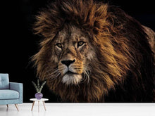 Load image into Gallery viewer, Photo Wallpaper Portrait of a lion