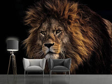 Load image into Gallery viewer, Photo Wallpaper Portrait of a lion