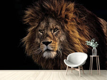 Load image into Gallery viewer, Photo Wallpaper Portrait of a lion