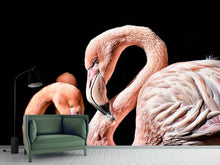 Load image into Gallery viewer, Photo Wallpaper Magnificent flamingos