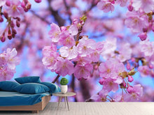 Load image into Gallery viewer, Photo Wallpaper Gorgeous cherry blossom