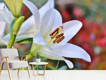 Load image into Gallery viewer, Photo Wallpaper Magnificent lily in white
