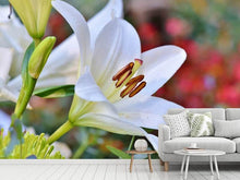 Load image into Gallery viewer, Photo Wallpaper Magnificent lily in white