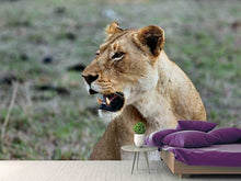 Load image into Gallery viewer, Photo Wallpaper Magnificent lioness