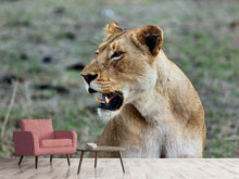 Load image into Gallery viewer, Photo Wallpaper Magnificent lioness