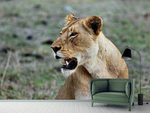 Load image into Gallery viewer, Photo Wallpaper Magnificent lioness