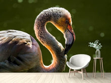 Load image into Gallery viewer, Photo Wallpaper Gorgeous bird