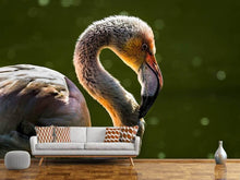 Load image into Gallery viewer, Photo Wallpaper Gorgeous bird