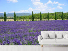 Load image into Gallery viewer, Photo Wallpaper Magnificent lavender field