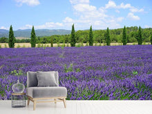 Load image into Gallery viewer, Photo Wallpaper Magnificent lavender field