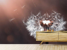 Load image into Gallery viewer, Photo Wallpaper Dandelion in the evening light