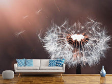 Load image into Gallery viewer, Photo Wallpaper Dandelion in the evening light