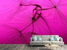 Load image into Gallery viewer, Photo Wallpaper Dandelion in pink