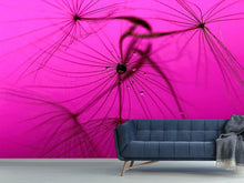 Load image into Gallery viewer, Photo Wallpaper Dandelion in pink