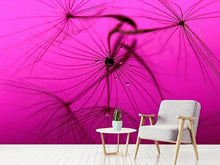 Load image into Gallery viewer, Photo Wallpaper Dandelion in pink
