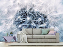 Load image into Gallery viewer, Photo Wallpaper Ripe dandelion Close up